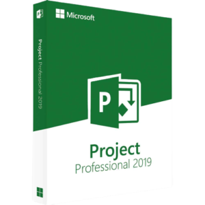 project 2019 professional