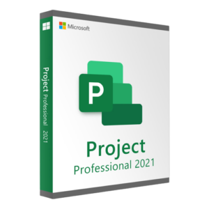 project 2021 professional