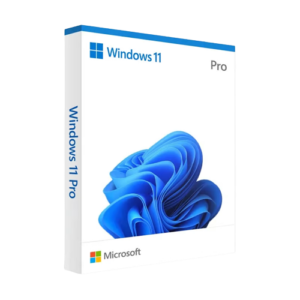 Windows 11 Pro Software